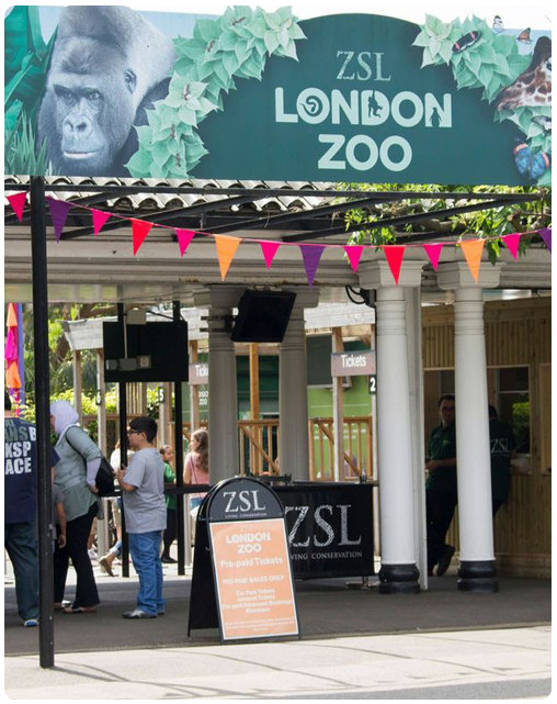 London Zoo