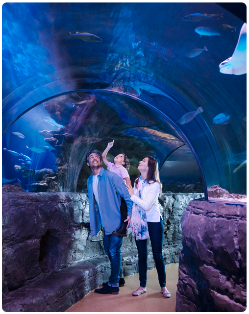 Sea Life London Aquarium